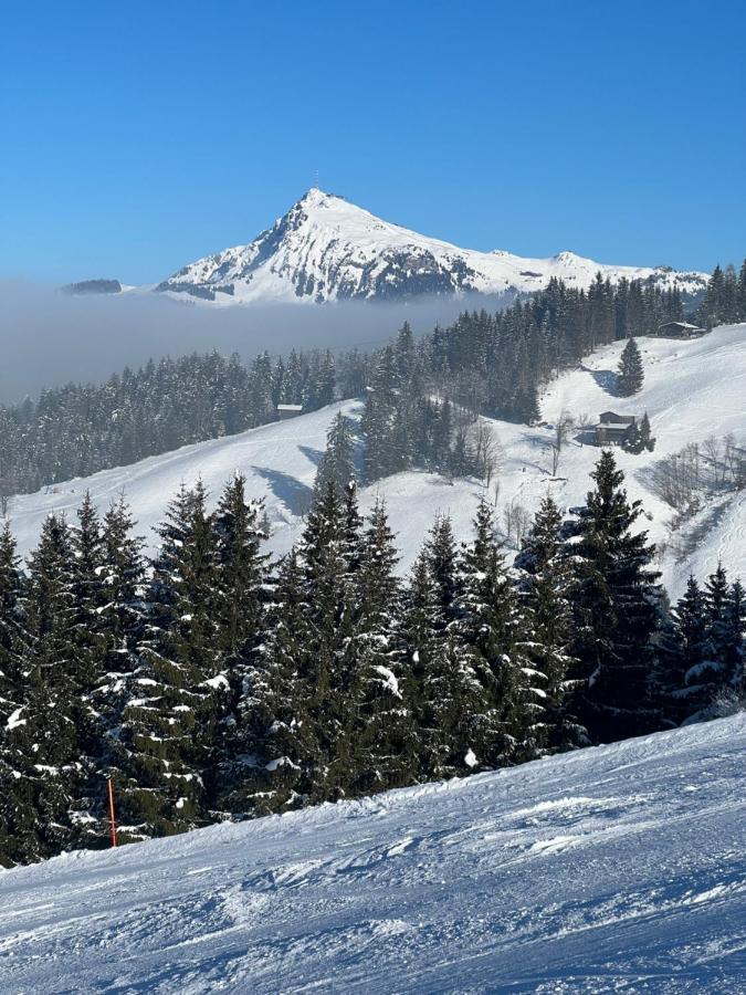 Apartment Gernot Kirchberg in Tirol